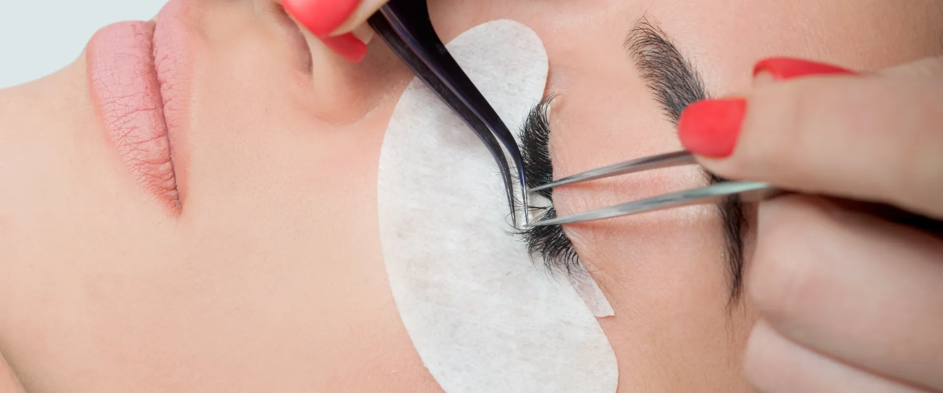 Camellia Lashes: A Buyer's Guide